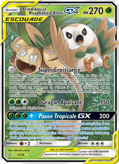 Brindibou et Noadkoko d’Alola GX